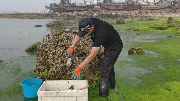 又到了趕海的潮流,小馬撿了各種海鮮,只為這一碗豪華海鮮泡麵