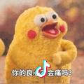 資深小狐貍