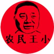 农民王小的个人资料