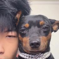 刘小鹿是小鹿