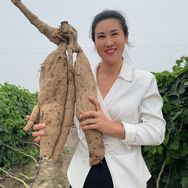 月牙种葛根
