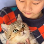 家有招财🐱