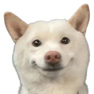 小菜是我