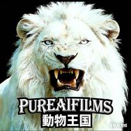 Pure AI Films动物王国