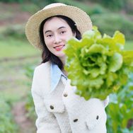 凤鸣甄选