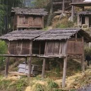 小華佗