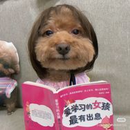 抖音舞蹈排行榜第26名六六酱,新榜指数846.2000,新增作品数1,分享数2.18w,评论数645,点赞数11.82w,新增粉丝数8136,累计粉丝数175.7w