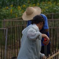 牛小牛助农