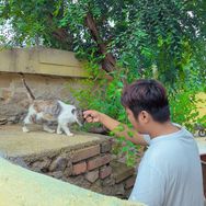 曲洋的不苦小院