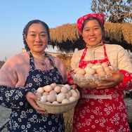 农村散养土鸡蛋