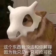 小希聊数码