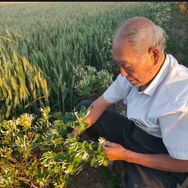 抖音医疗健康排行榜第28名丑老头,新榜指数778.6000,新增作品数1,分享数524,评论数5831,点赞数6.3w,新增粉丝数392,累计粉丝数218.6w