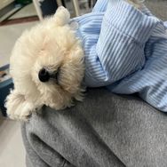 小新ye