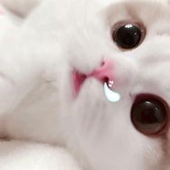 Angela王诗龄