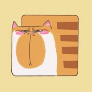 哥叫鱼烧你记住