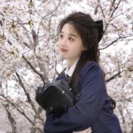 是七七子
