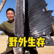 户外鸿哥