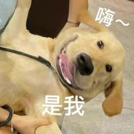 饮咩嘢
