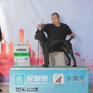 家有二牛