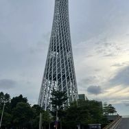 A固化剂东洋纺制纸哑粉海名斯等