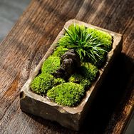 正成非