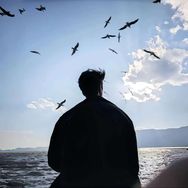 锦公子