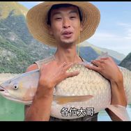 抖音体育排行榜第13名二毛荒野垂钓生活,新榜指数814.0000,新增作品数1,分享数1240,评论数1560,点赞数6.2w,新增粉丝数1102,累计粉丝数356w