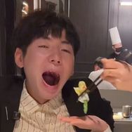 张予戈