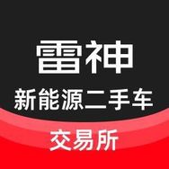 雷神新能源二手车