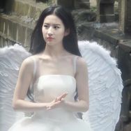 甜菜大王o