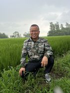 三两毛粮大米
