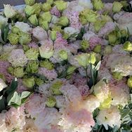 花钰程鲜花（6月6号烟台美早樱桃专场）