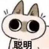 褚哲