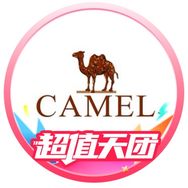 骆驼牌官方旗舰店