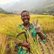 rose-6号早8点海南大牌护肤超补专场