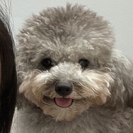 本华是个反骨仔