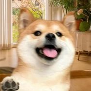 废柴老三