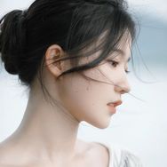 袁亦菲