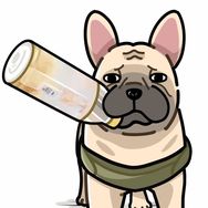 狗小白