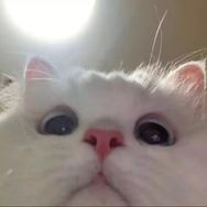 bbb