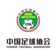 中国足协青少年足球