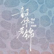 电视剧韶华若锦（忙着带娃版）