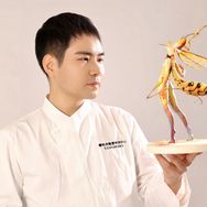 糖柏虎