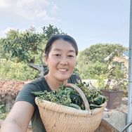 沂蒙二姐（家乡的蜜桃熟了！）