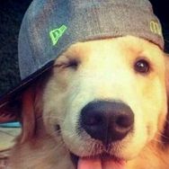 sugar man（慢哥）