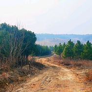 母恩难忘