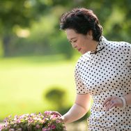 温婉大方