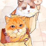 画画的郭彬