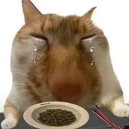 我不要没你的以后