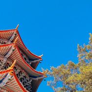菩瑶若梦澜兮